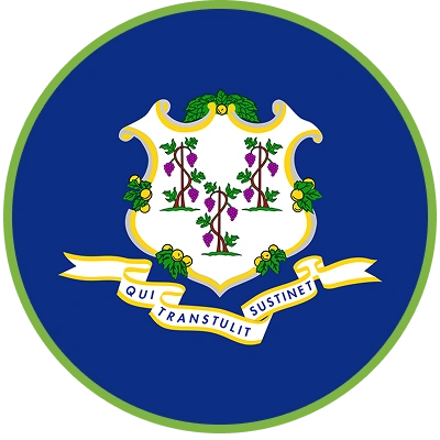 Connecticut flag