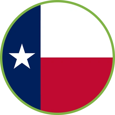 Texas flag